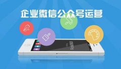 廣州微信代運(yùn)營